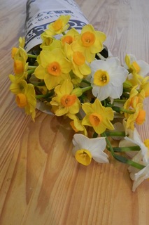 DSCN2915.jpg