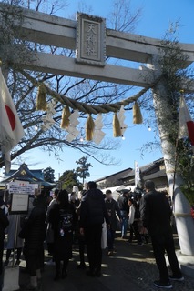 DSCN2551.jpg