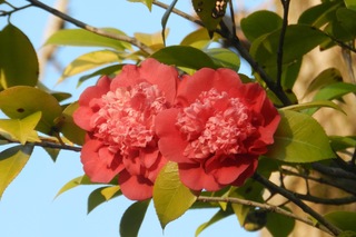 DSCN3094.jpg