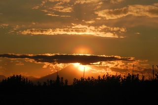 DSCN4598.jpg
