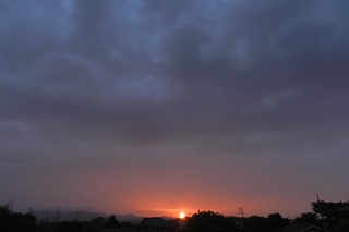 DSCN4731.jpg